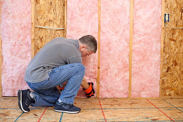 Best Eco-Friendly Insulation in Springfield, NJ